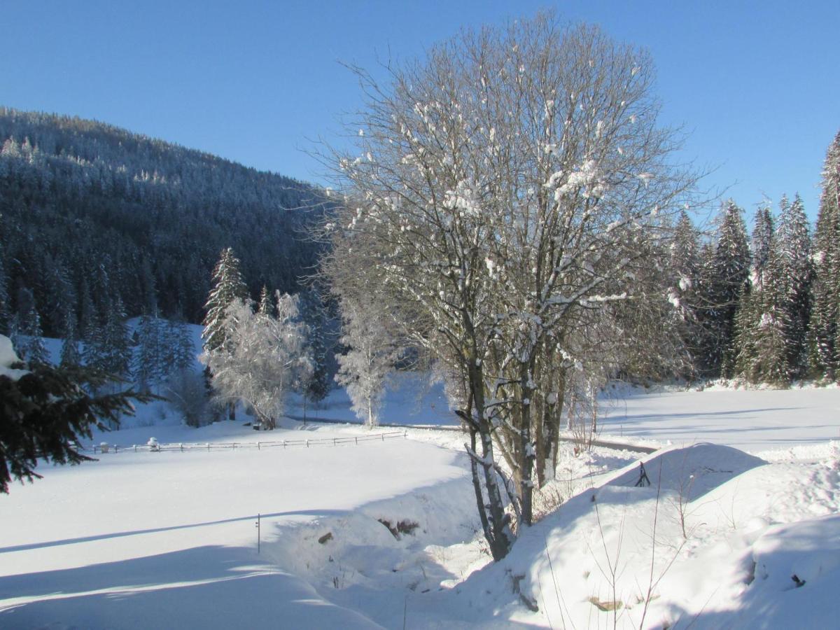 Priller Lachtal